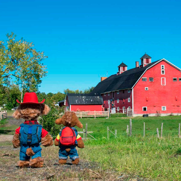 Biscuit et Cassonade<br>aiment la ferme